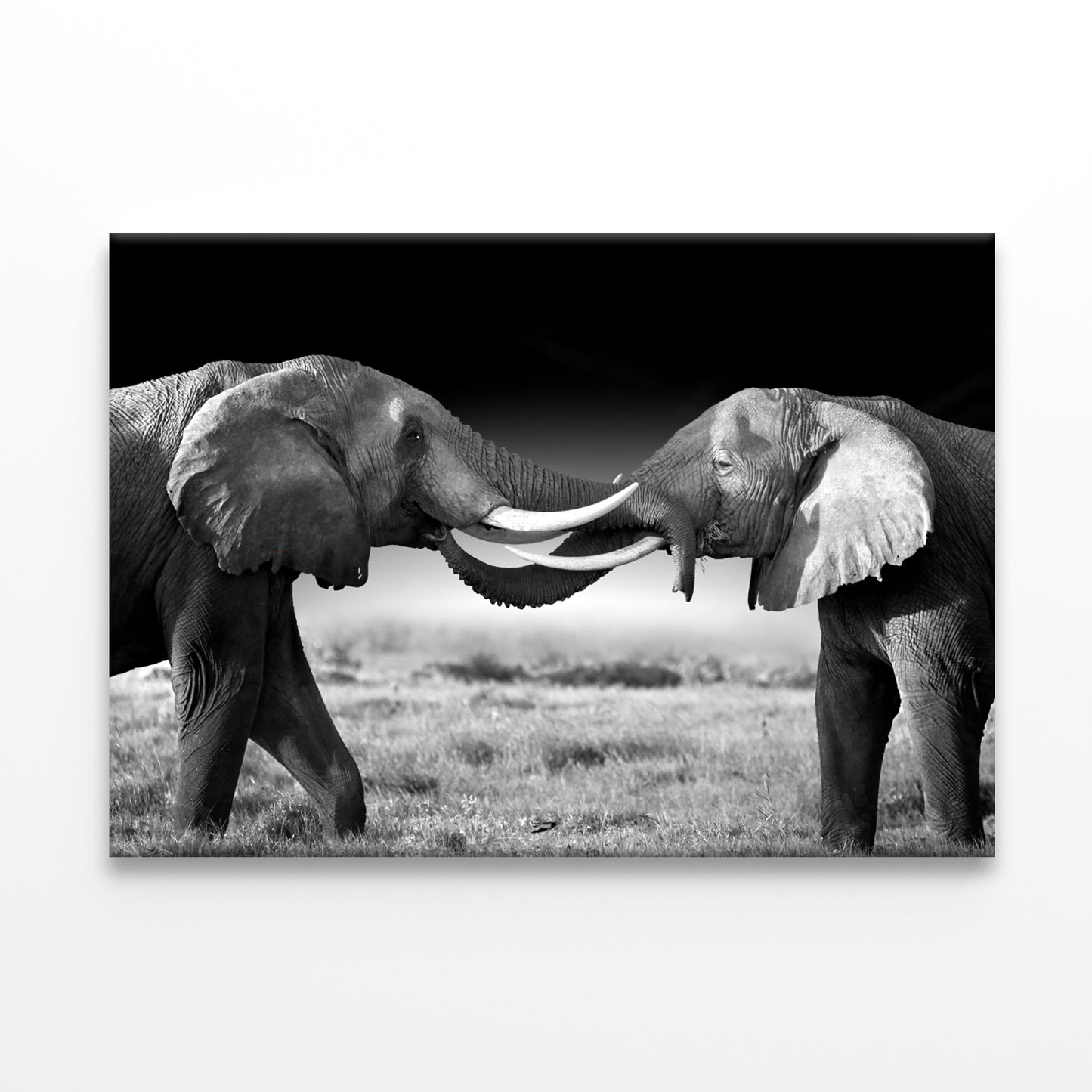 Elephants Touching Trunks Kenya Wall Art Decor 100% Australian Made - Bella Home Decor