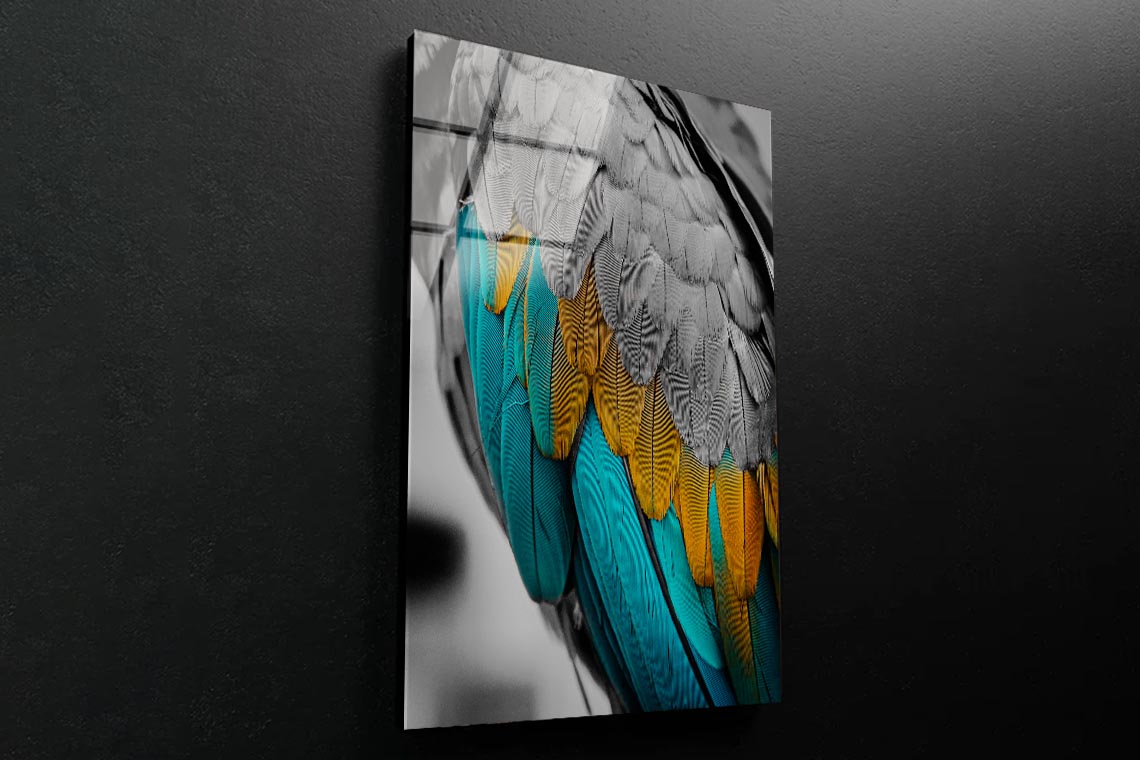 Close-Up Feather 3D Design Acrylic Glass Print Tempered Glass Wall Art 100% Made in Australia Ready to Hang