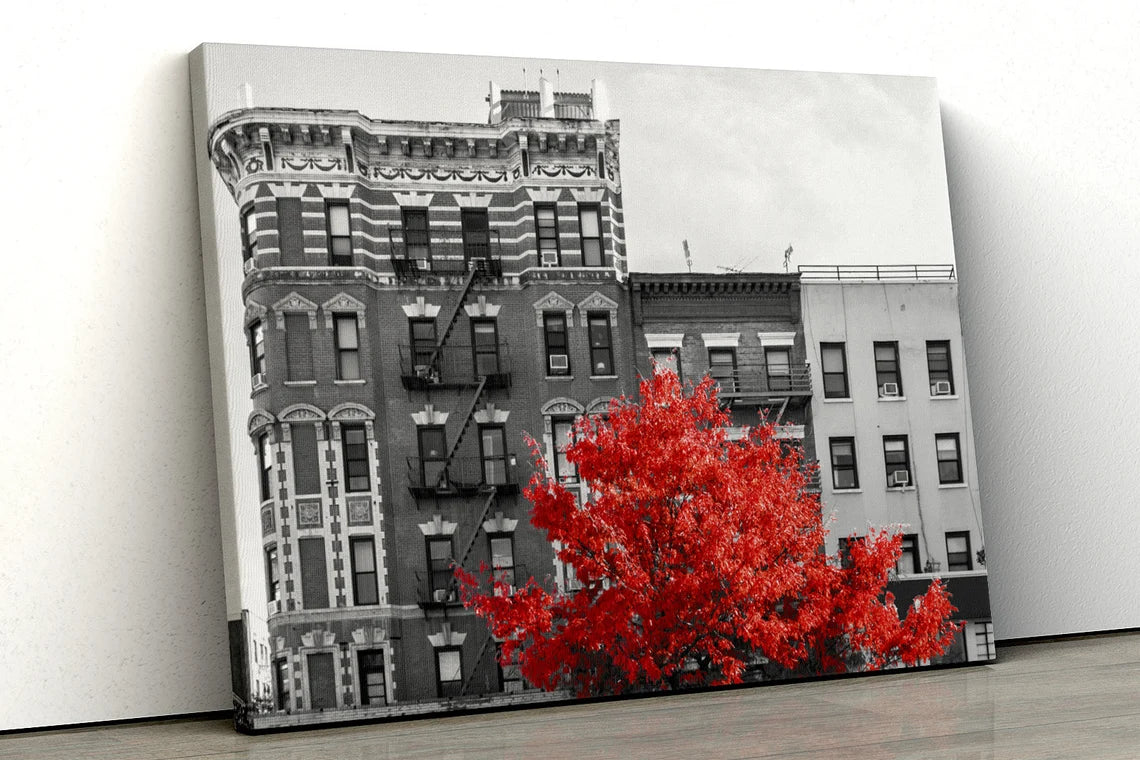 Red tree black and white city UV Direct Aluminum Print Australian Made Quality