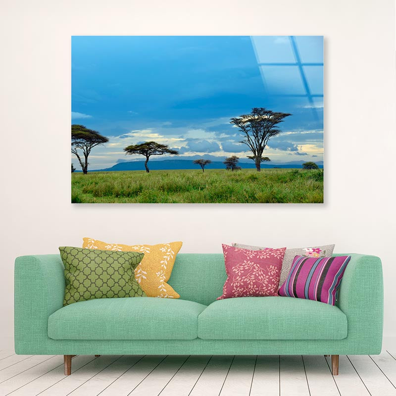 National Park with Mountains Africa Acrylic Glass Print Tempered Glass Wall Art 100% Made in Australia Ready to Hang