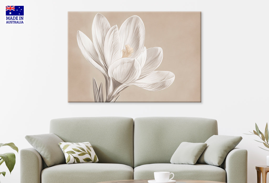 Sepia Crocus Bloom Neutral Spring Flower  Wall Art Decor 100% Australian Made