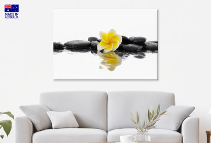 Still Life with Frangipani on Wet Zen Stones Wall Art Decor 100% Australian Made