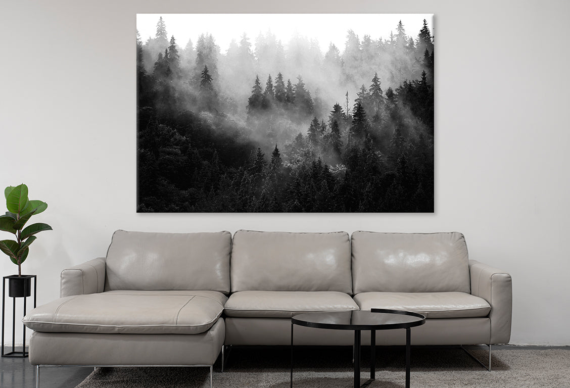 Trees In Mist Black And White Print 100% Australian Made