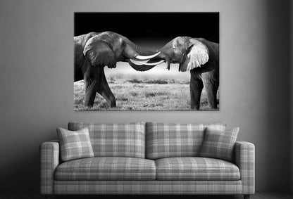 Elephants Touching Trunks Kenya Wall Art Decor 100% Australian Made - Bella Home Decor