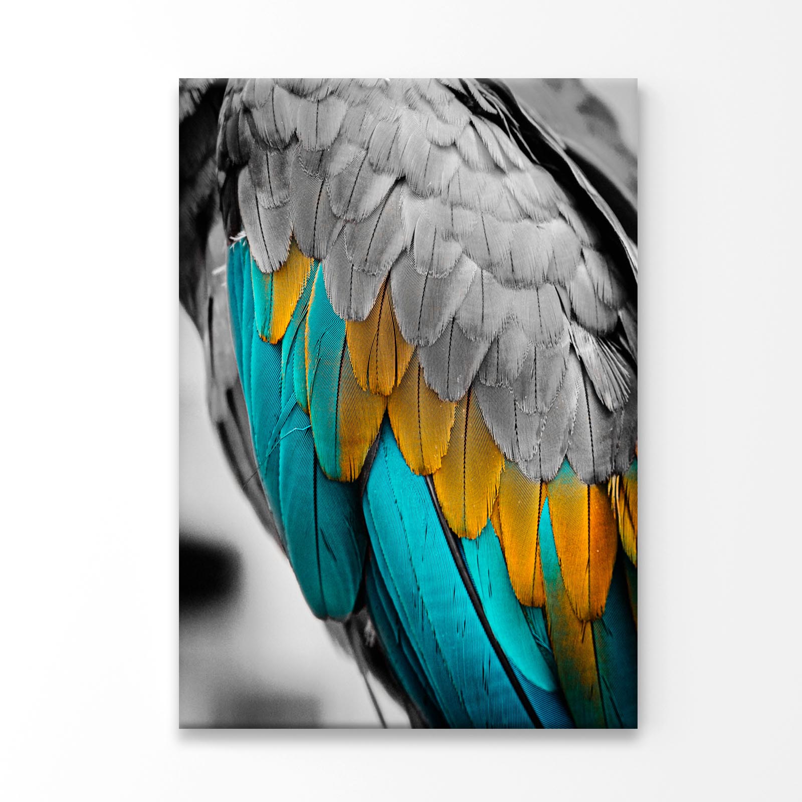 Close-Up Feather 3D Design Acrylic Glass Print Tempered Glass Wall Art 100% Made in Australia Ready to Hang