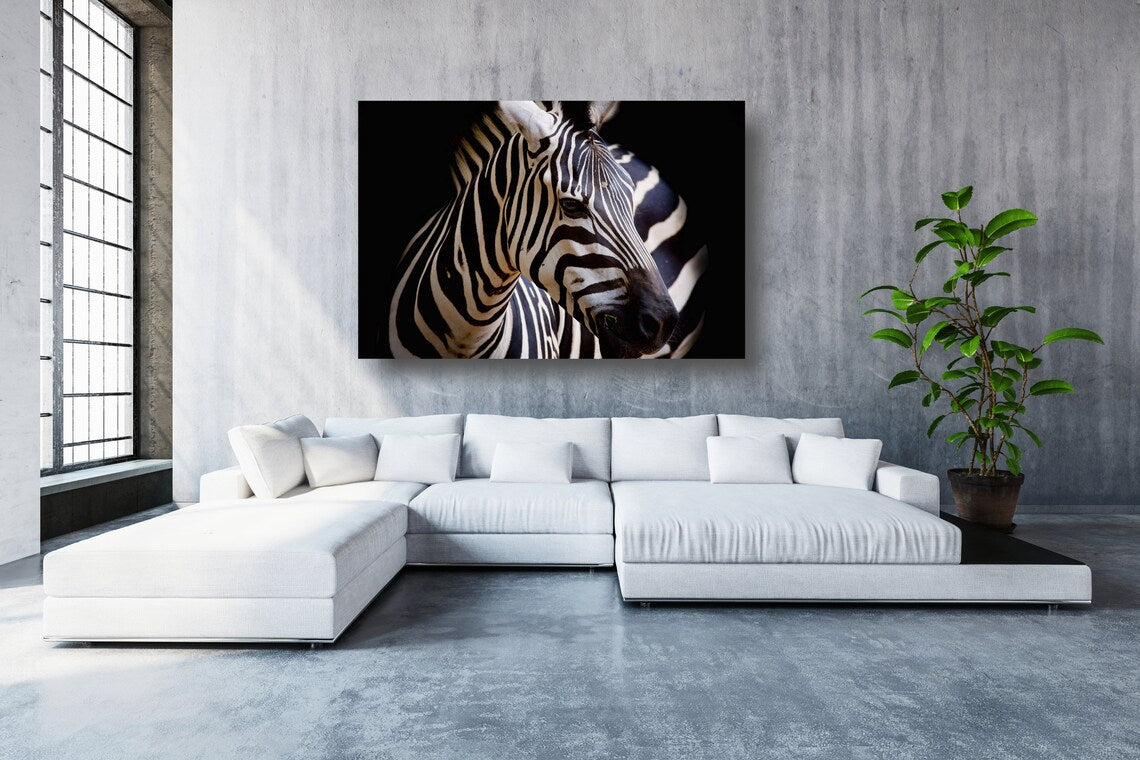 African Zebra Acrylic Glass Print Tempered Glass Wall Art 100% Made in Australia Ready to Hang