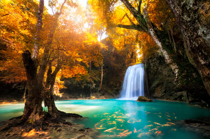 Deep Forest Waterfall in Kanchanaburi, Thailand  Acrylic Glass Print Tempered Glass Wall Art 100% Made in Australia Ready to Hang