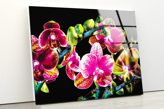 Colorful Orchid Flowers UV Direct Aluminum Print Australian Made Quality