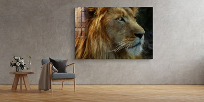 Lion Face Side View UV Direct Aluminum Print Australian Made Quality