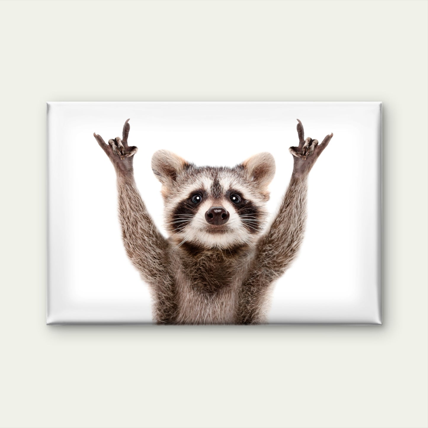 Funny Raccoon Rock On Hand Sign Wall Art Decor 100% Australian Made