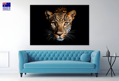 Leopard Isolated on Black Portrait Wildlife Animal Wall Art Decor 100% Australian Made