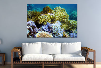 Great Barrier Reef Coral Underwater View Queensland Wall Art Decor 100% Australian Made