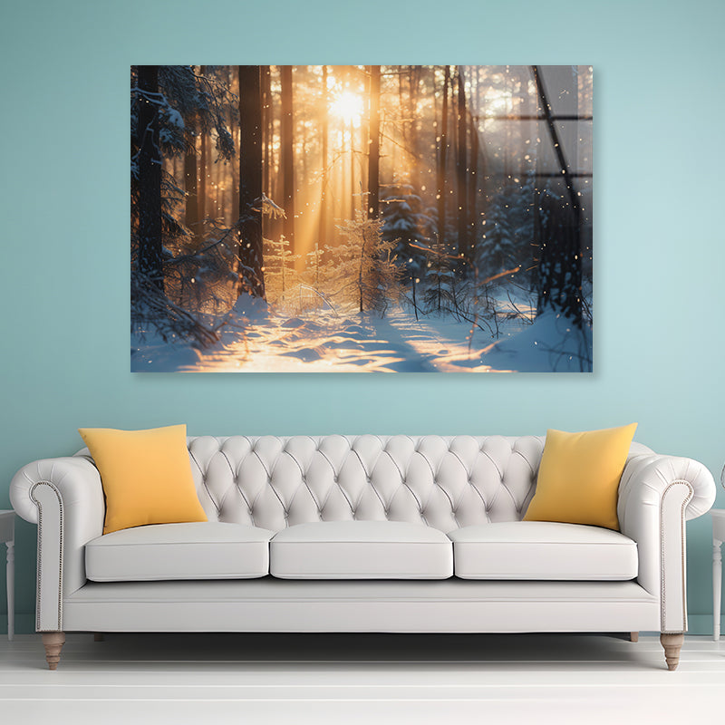 Snowy Forest with Trees through Sunlight Acrylic Glass Print Tempered Glass Wall Art 100% Made in Australia Ready to Hang - Bella Home Decor