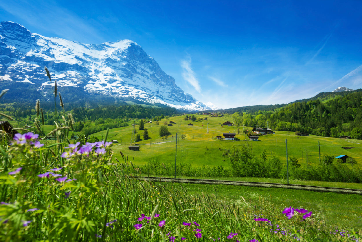 Blooming Flowers with Beautiful Sky & Mountains Home Decor Premium Quality Poster Print Choose Your Sizes