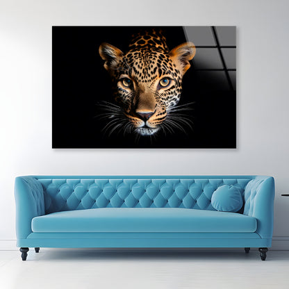 Leopard Isolated on Black Portrait Wildlife Animal Acrylic Glass Print Tempered Glass Wall Art 100% Made in Australia Ready to Hang