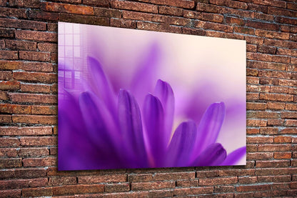 Purple Flower Petals UV Direct Aluminum Print Australian Made Quality