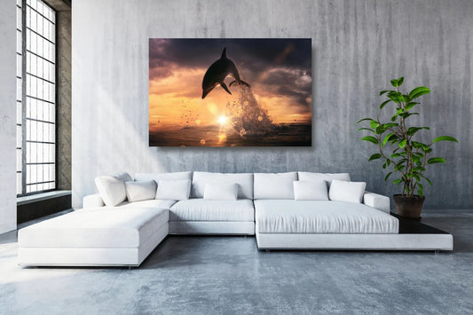 Dolphin With Sunlight Acrylic Glass Print Tempered Glass Wall Art 100% Made in Australia Ready to Hang