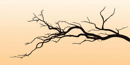 Silhouette Sunset Bare Tree Branch Wall Art Canvas Office Home Framed 120x60cm