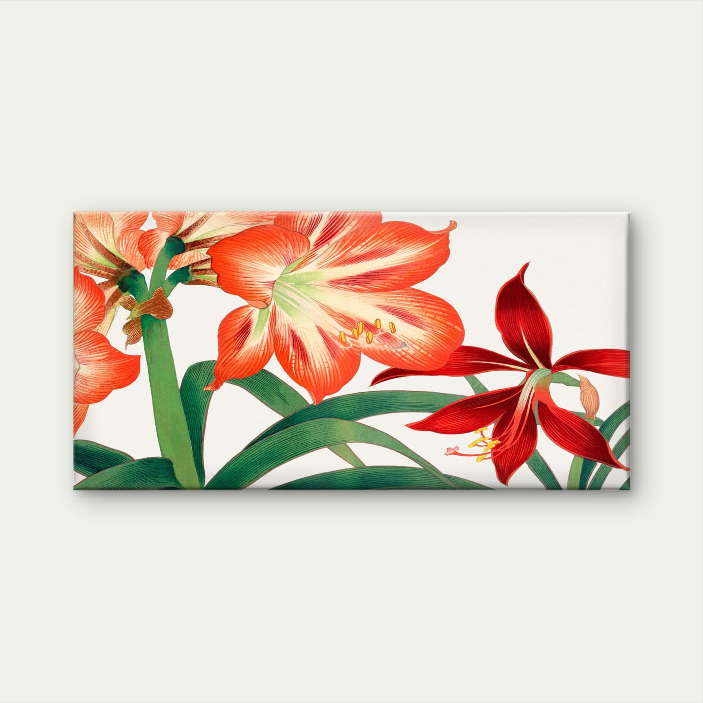 Red Amaryllis Lily Botanical Wall Art Canvas Office Home Room Framed 120x60cm