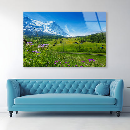 Blooming Flowers with Beautiful Sky & Mountains Acrylic Glass Print Tempered Glass Wall Art 100% Made in Australia Ready to Hang