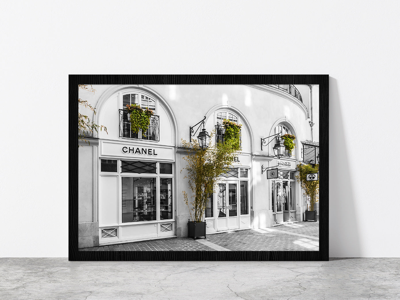 Plants near Fashion Store B&W Photograph Glass Framed Wall Art, Ready to Hang Quality Print Without White Border Black