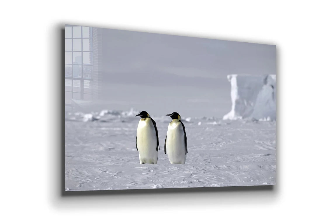 Penguins on Ice Field UV Direct Aluminum Print Australian Made Quality