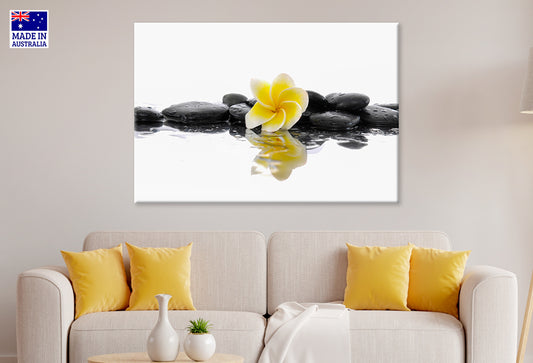 Still Life with Frangipani on Wet Zen Stones Wall Art Decor 100% Australian Made