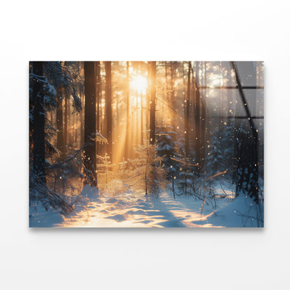 Snowy Forest with Trees through Sunlight Acrylic Glass Print Tempered Glass Wall Art 100% Made in Australia Ready to Hang - Bella Home Decor