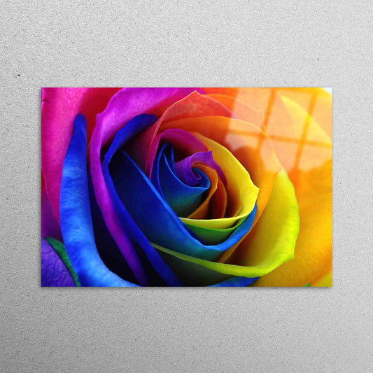 Rose Lover Gift Acrylic Glass Print Tempered Glass Wall Art 100% Made in Australia Ready to Hang