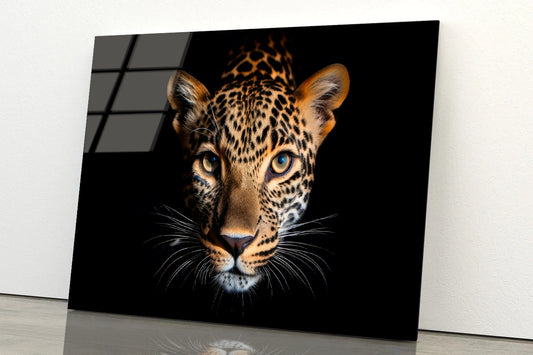 Leopard Isolated on Black Portrait Wildlife Animal Acrylic Glass Print Tempered Glass Wall Art 100% Made in Australia Ready to Hang