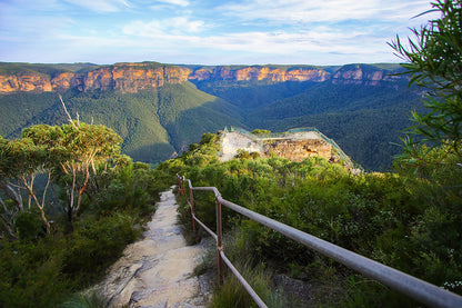 Blue Mountains National Park NSW Pulpit Rock Lookout Stairway Wall Art Decor 100% Australian Made