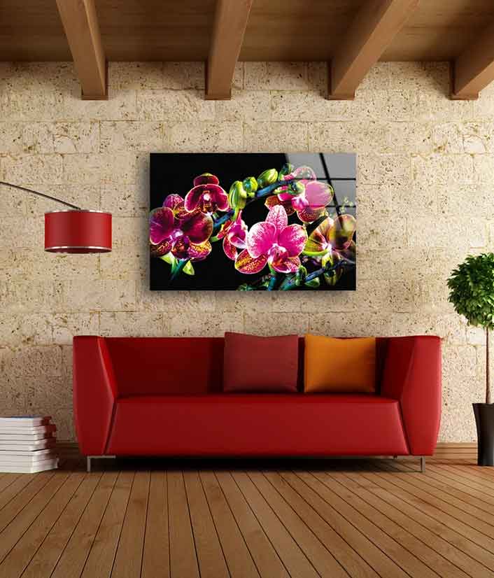 Colorful Orchid Flowers UV Direct Aluminum Print Australian Made Quality