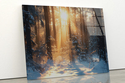 Snowy Forest with Trees through Sunlight Acrylic Glass Print Tempered Glass Wall Art 100% Made in Australia Ready to Hang - Bella Home Decor