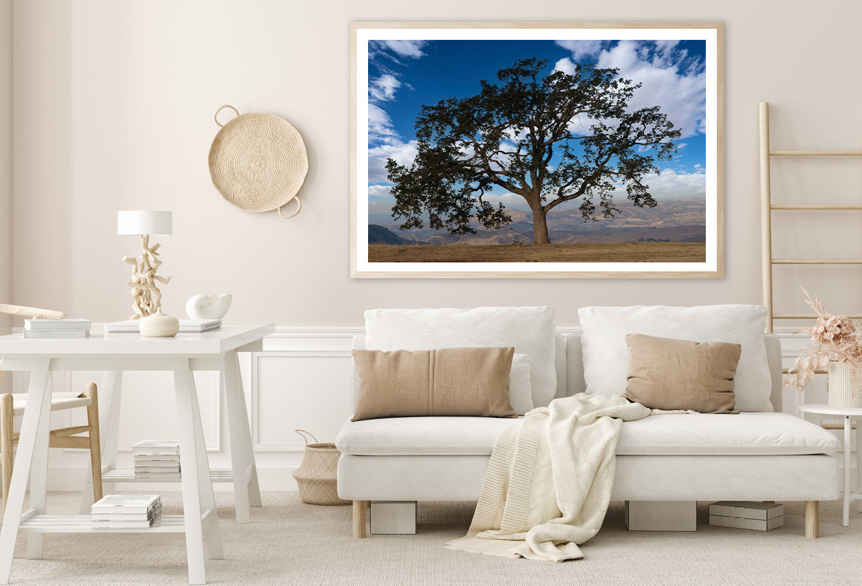 Lone Oak Tree with Clouds in California Home Decor Premium Quality Poster Print Choose Your Sizes