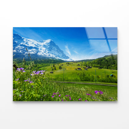 Blooming Flowers with Beautiful Sky & Mountains Acrylic Glass Print Tempered Glass Wall Art 100% Made in Australia Ready to Hang