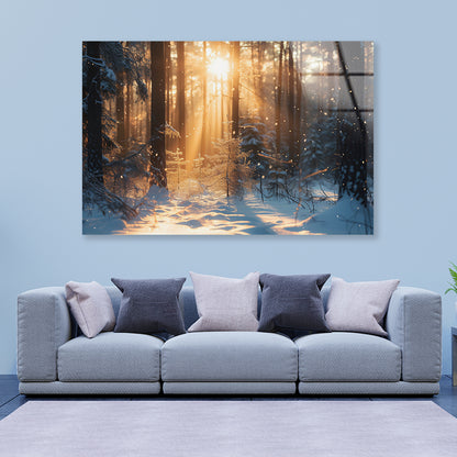 Snowy Forest with Trees through Sunlight Acrylic Glass Print Tempered Glass Wall Art 100% Made in Australia Ready to Hang - Bella Home Decor