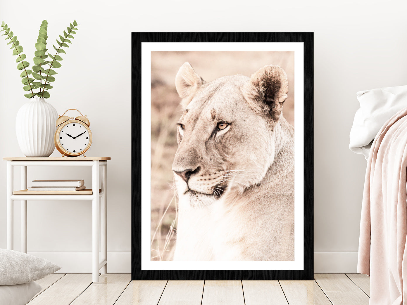 Lioness Side View Faded Photograph Glass Framed Wall Art, Ready to Hang Quality Print With White Border Black