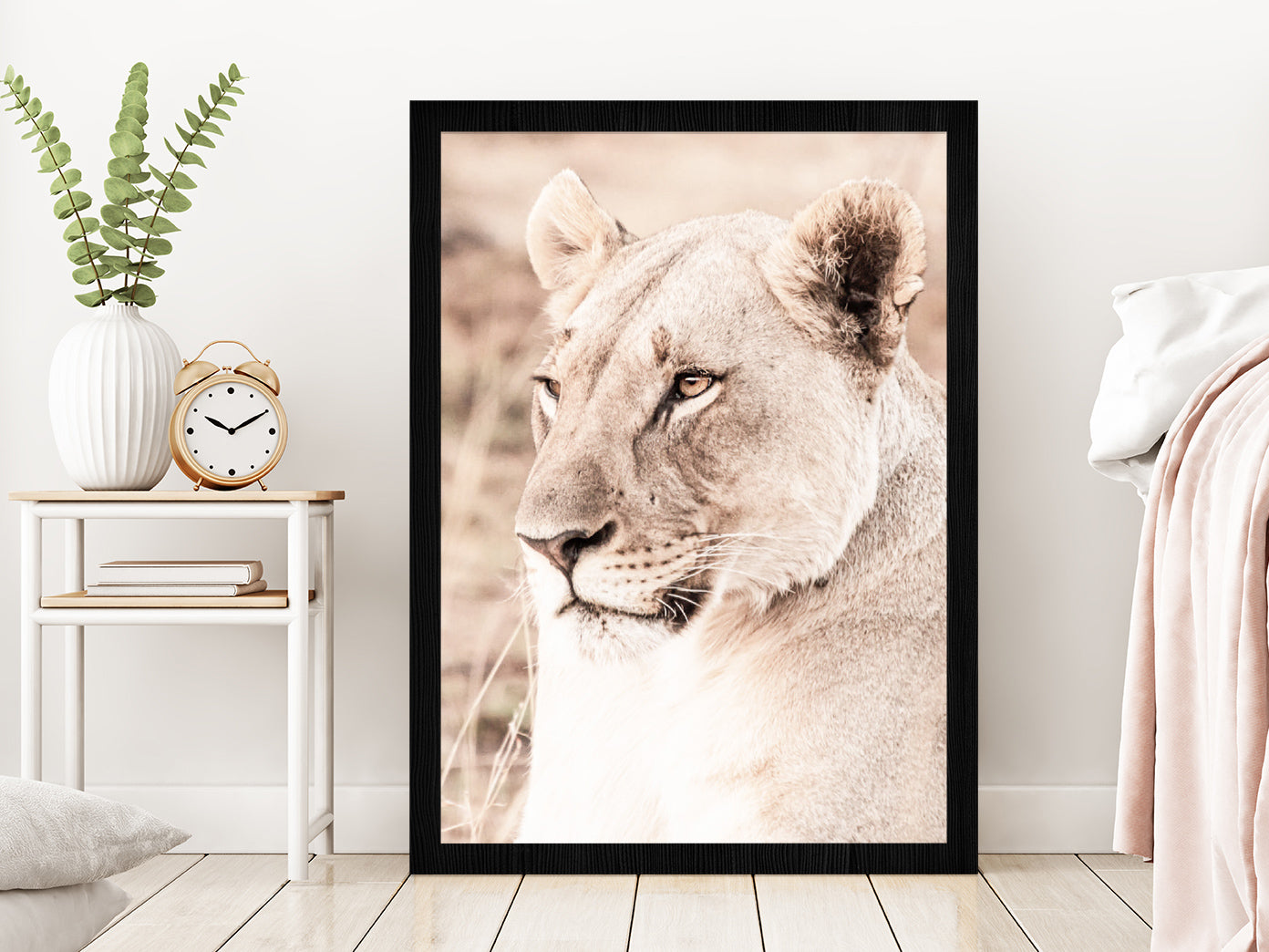 Lioness Side View Faded Photograph Glass Framed Wall Art, Ready to Hang Quality Print Without White Border Black