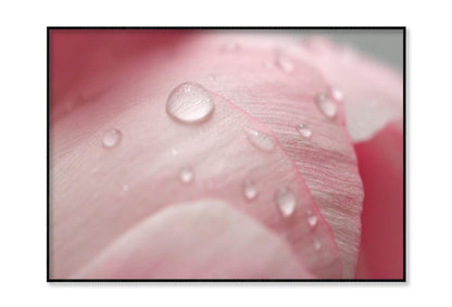 Pink Flower With Water Drops Home Decor Premium Quality Poster Print Choose Your Sizes