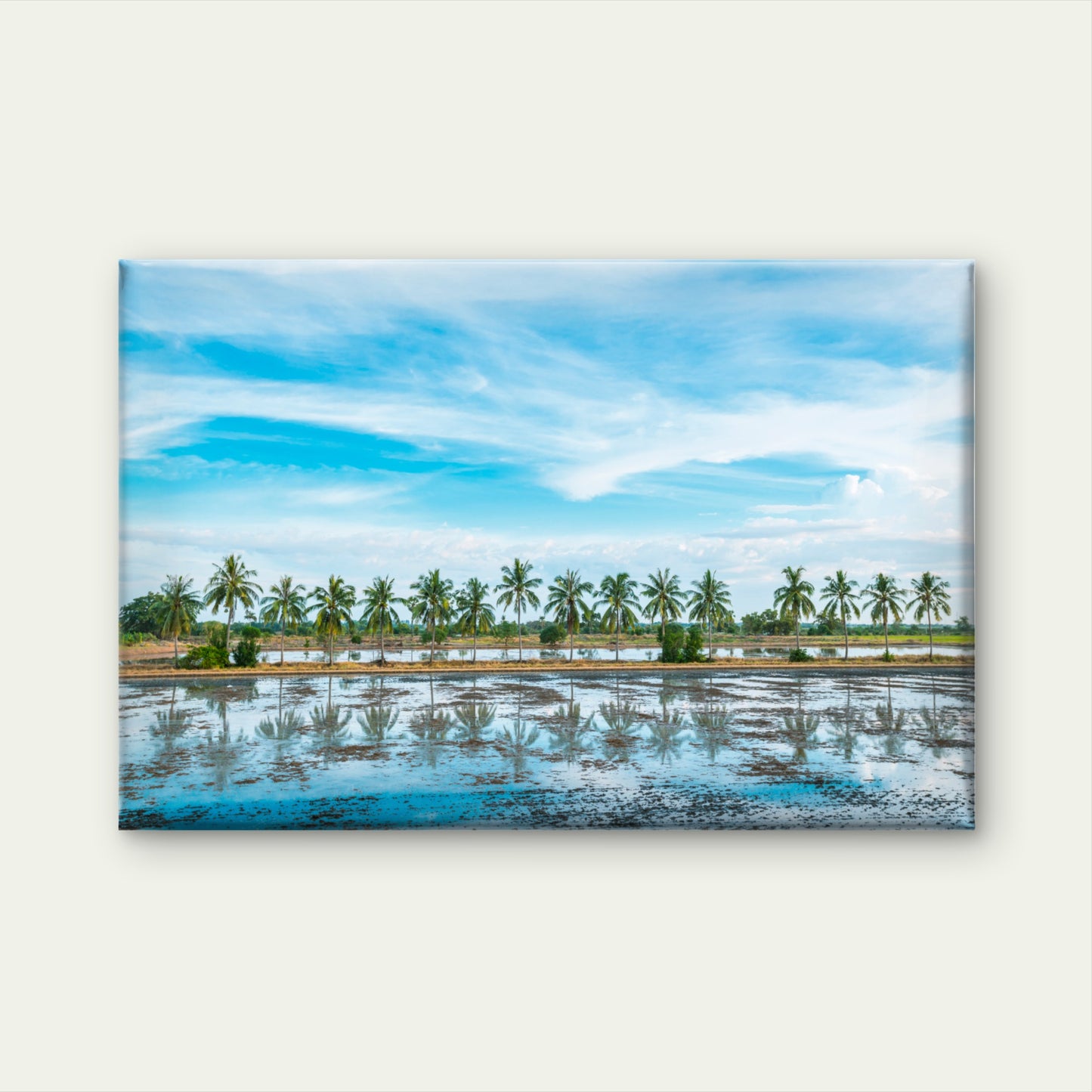 Vibrant Green Coconut Tree Plantation Fields Across Thailand Wall Art Decor 100% Australian Made