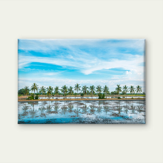 Vibrant Green Coconut Tree Plantation Fields Across Thailand Wall Art Decor 100% Australian Made