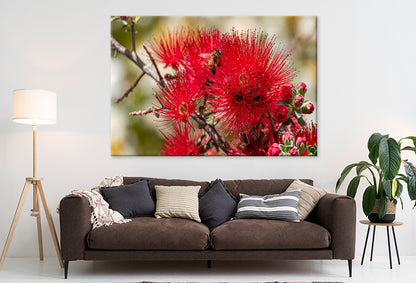 Kings Park and Botanic Garden Perth Water View Wall Art Decor 100% Australian Made