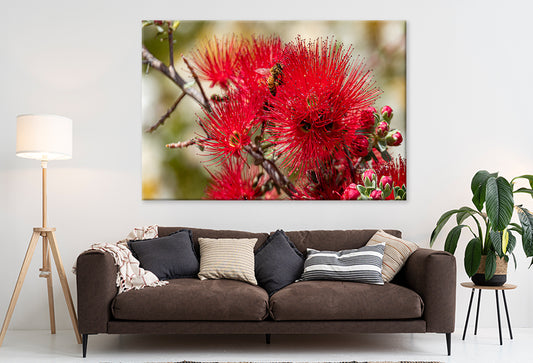 Kings Park and Botanic Garden Perth Water View Wall Art Decor 100% Australian Made