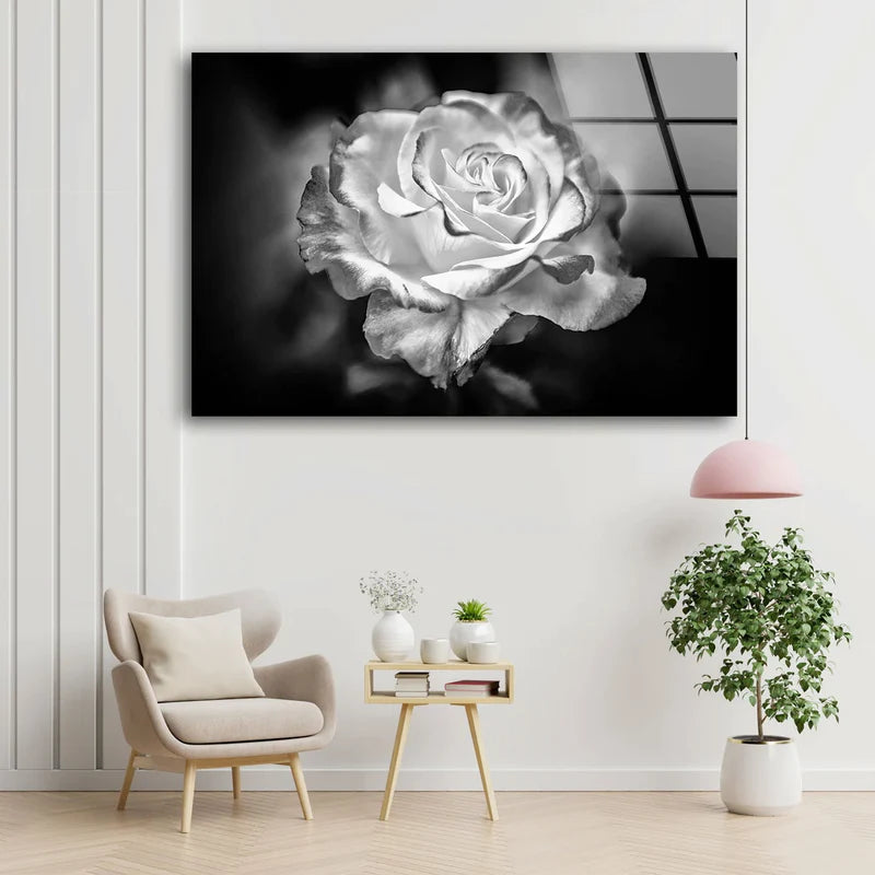 Rose Flower Closeup UV Direct Aluminum Print Australian Made Quality