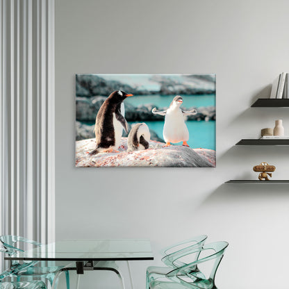 Cute Gentoo Baby Penguins on Rocks Black and White Birds  Wall Art Decor 100% Australian Made