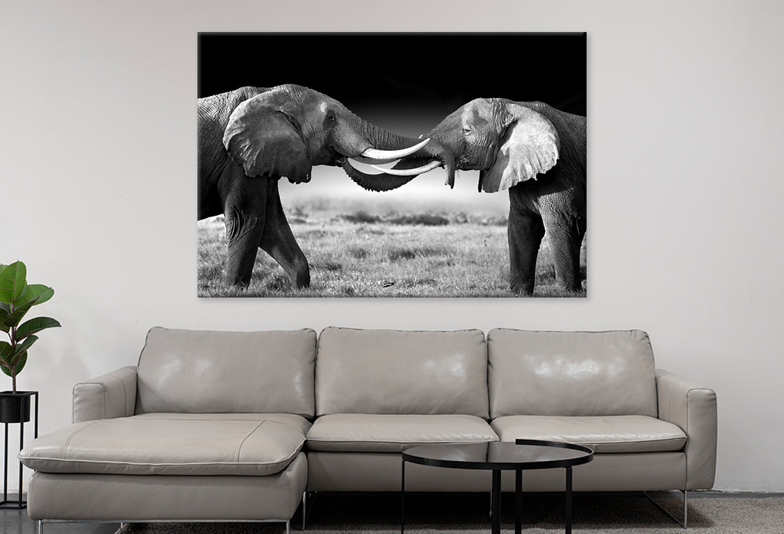 Elephants Touching Trunks Kenya Wall Art Decor 100% Australian Made - Bella Home Decor