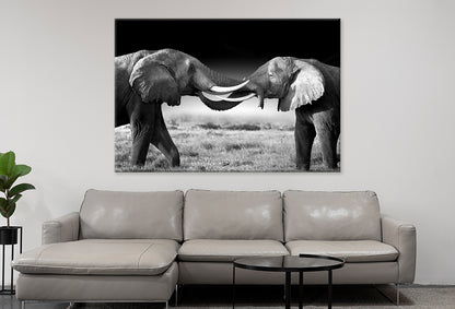 Elephants Touching Trunks Kenya Wall Art Decor 100% Australian Made - Bella Home Decor