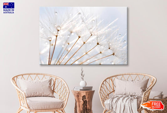 Water Droplet on Dandelion Seeds Wall Art Decor 100% Australian Made