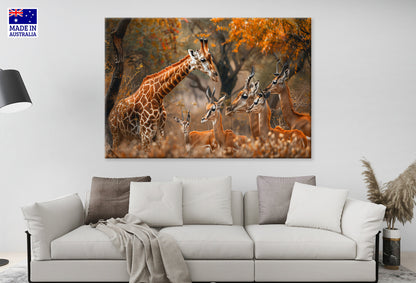 Beautiful Giraffe Wild Animal Wall Art Decor 100% Australian Made