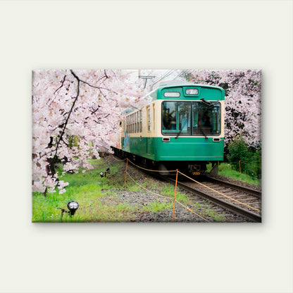 Japan Green Train Cherry Blossom Wall Art Decor 100% Australian Made